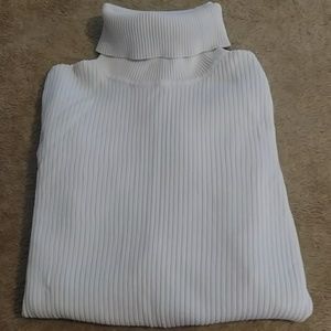 August Silk Ribbed Turtleneck
